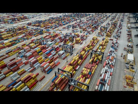 Bayport Container Terminal Tour: A Trucker's Perspective