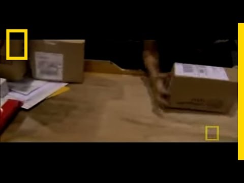 Inside UPS | National Geographic