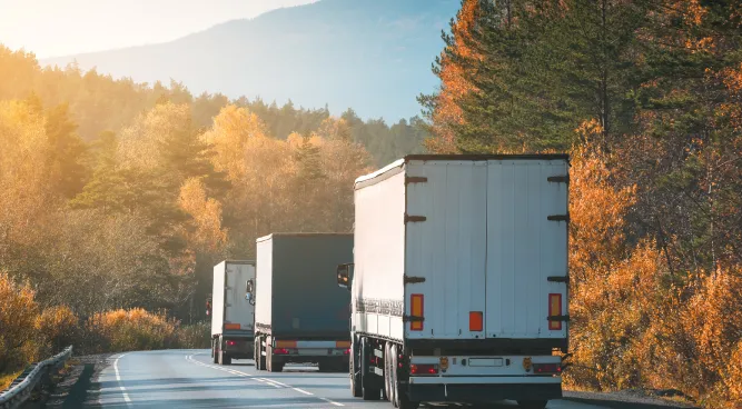 Road Freight Services: How They Drive the World Economy