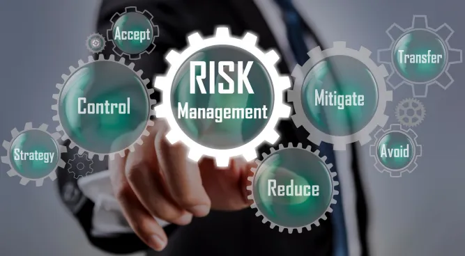 Risk Management Jobs