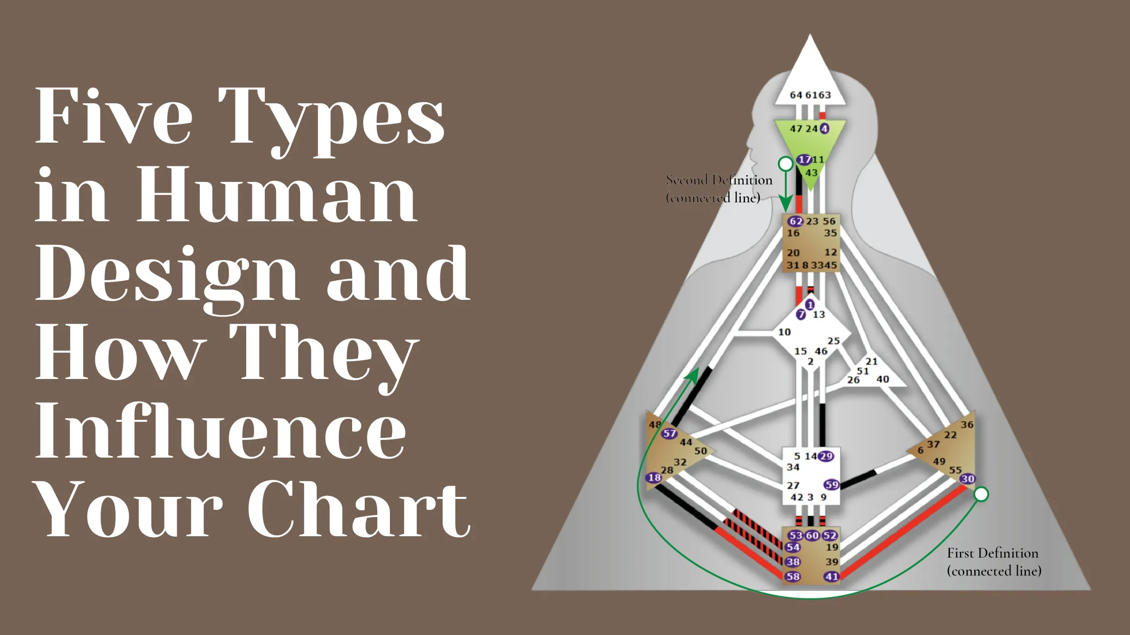 The Five Types In Human Design And How They Influence Your Chart