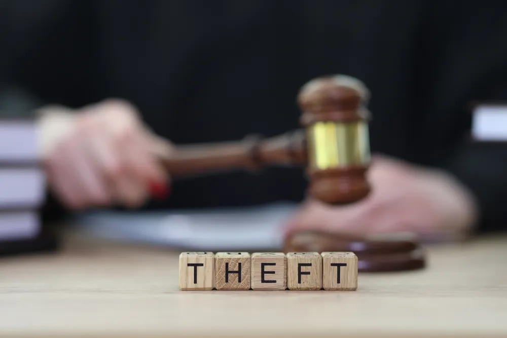 The Nuances of Theft Crimes: Legal Perspectives and Societal Implications