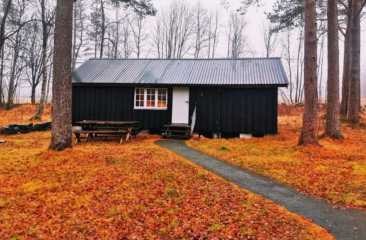 Shipping Container Cabins for Hunting & Off-Grid Adventures