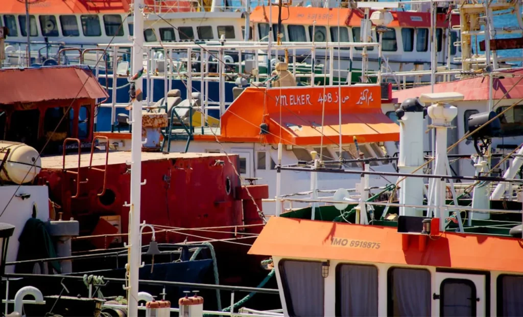 Colorful training rigs lined up in Ballard harbor.